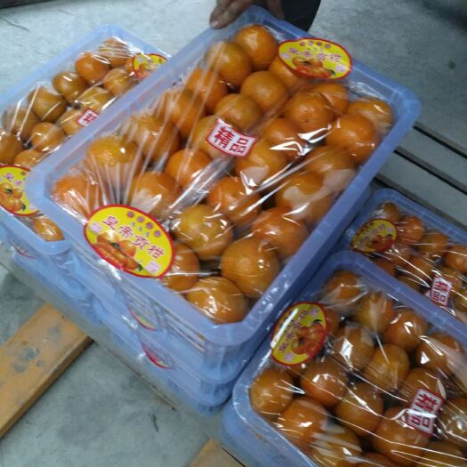 仁化县 代办皇帝柑，量大优惠