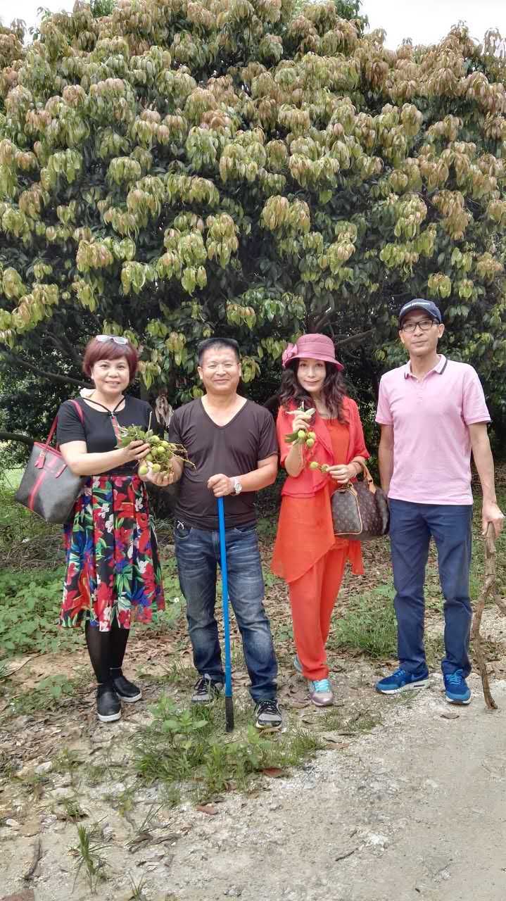  增城荔枝，桂味，糯米糍，挂绿，挂红荔枝