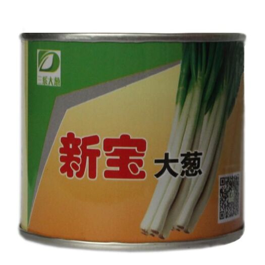 菏泽 日本钢葱种子新宝大葱