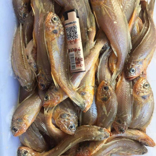 连云港冰冻小黄鱼