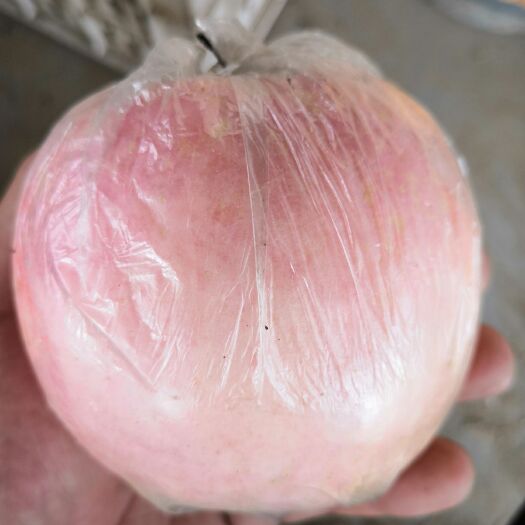  精品红富士苹果
