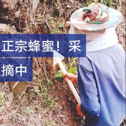 镇宁县野生蜂蜜 塑料瓶装 2年 
