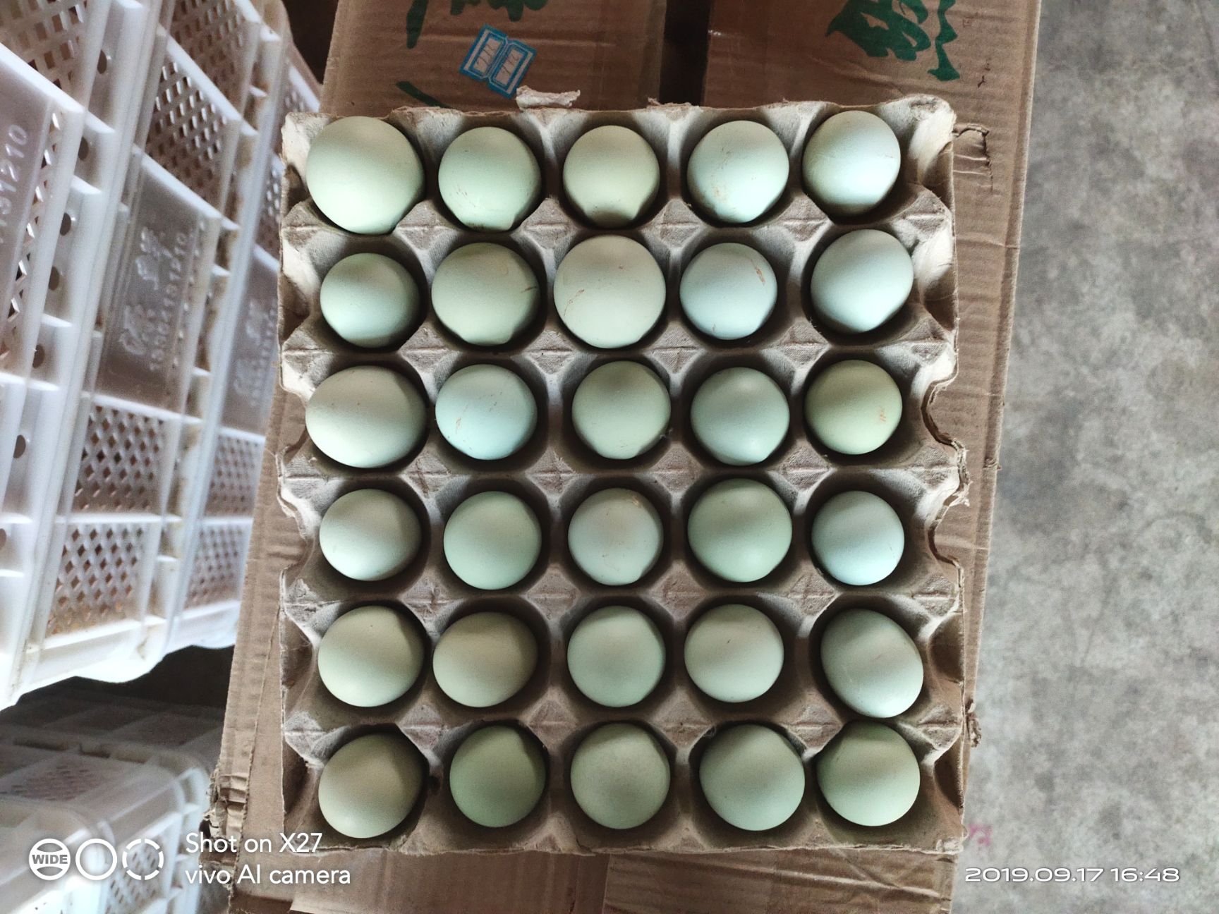 绿壳蛋  保新鲜绿壳鸡蛋