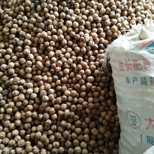 文水县 溥壳香核桃