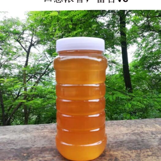 溆浦县 深山里自产自销的五倍子蜂蜜绿色的纯蜂蜜