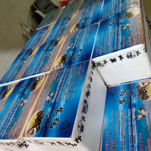 珠海 广东生蚝五斤小包装礼品装 珠海台山湛江阳江牡蛎