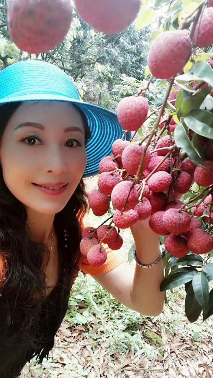  增城荔枝，桂味，糯米糍，挂绿，挂红荔枝