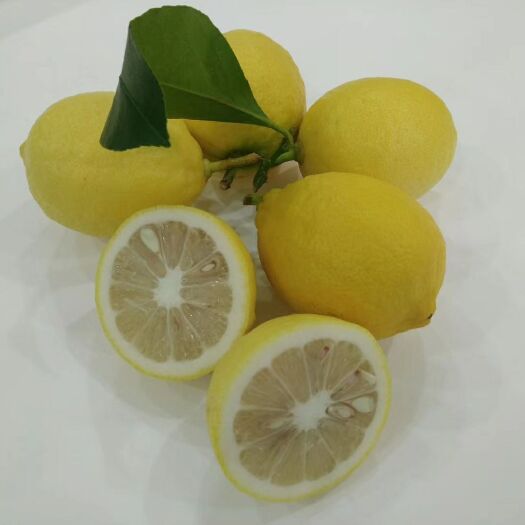 资阳 柠檬黄柠檬香水柠檬