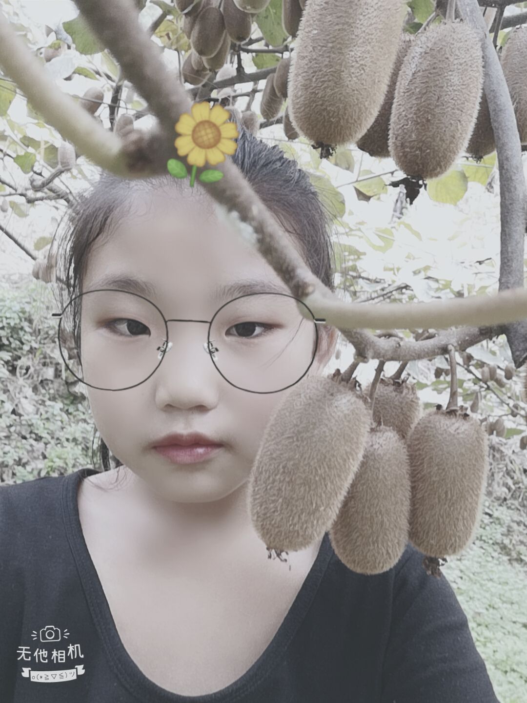  有机贵长猕猴桃，无公害，果果香甜