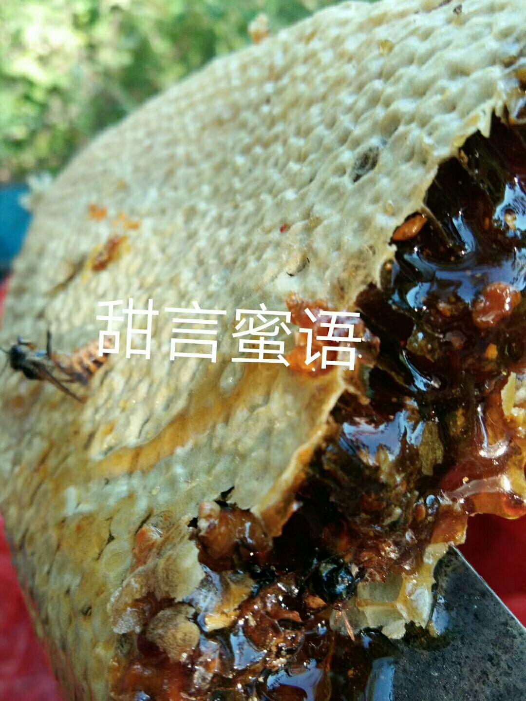 土蜂巢蜜