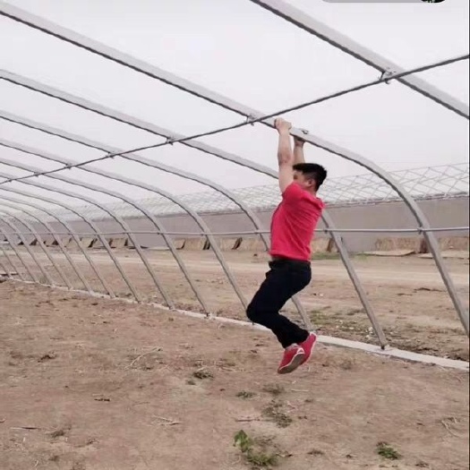 沭阳县大棚钢管 椭圆管大棚钢架蔬菜大棚骨架温室钢架养殖大棚骨免费设计