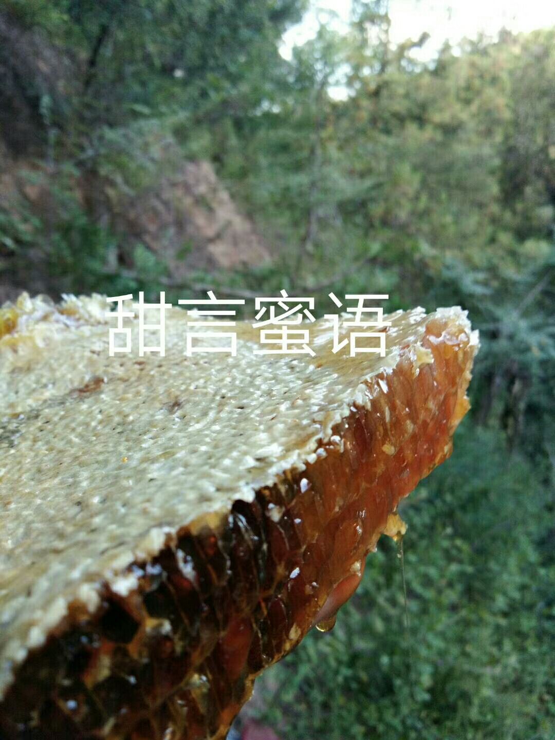 土蜂巢蜜