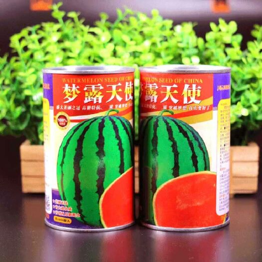 樟树市 梦露天使西瓜种子起大甜王大红瓤甜嫩口感好皮薄抗病抗裂