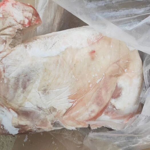 定州市羊肉类 精品烤全羊羊腔