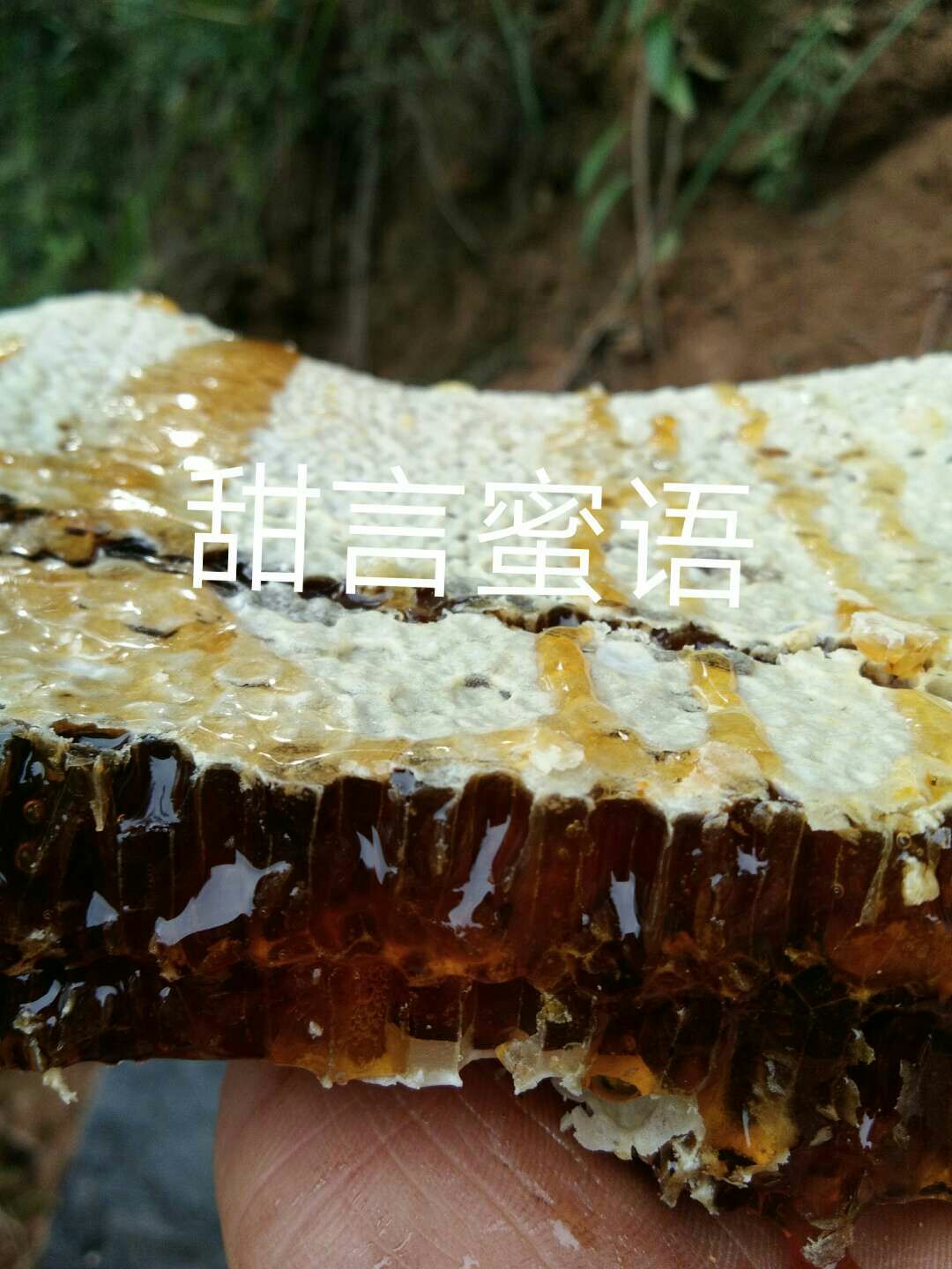 土蜂巢蜜