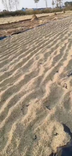 五常市 新稻花香稻谷，要货联系
