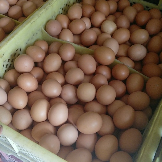 本溪白蛋 食用 箱装