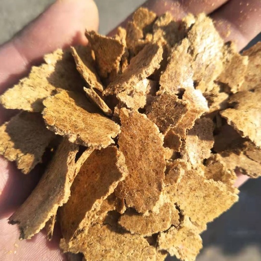 石家庄胚芽饼 牛羊好原料