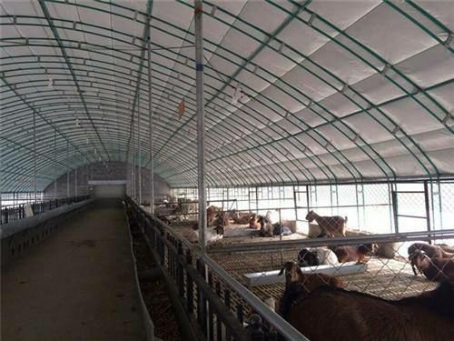沭阳县养殖大棚 厂家直销 质量保障