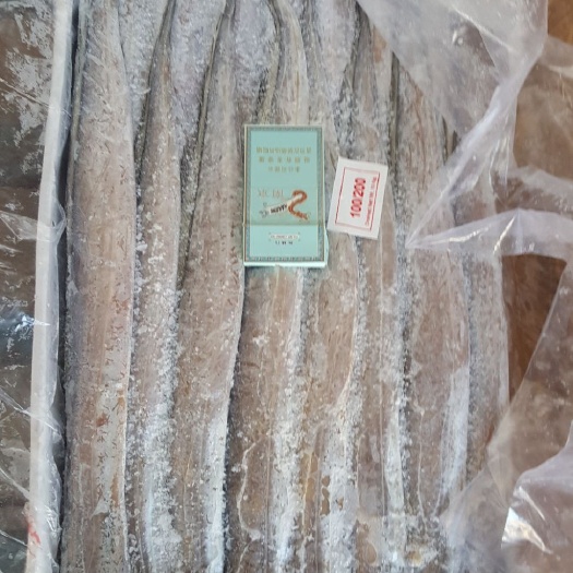 日照印度B带