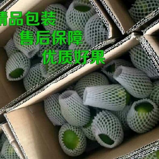 石门县石门蜜橘 自家果园的，口味酸甜，好吃。