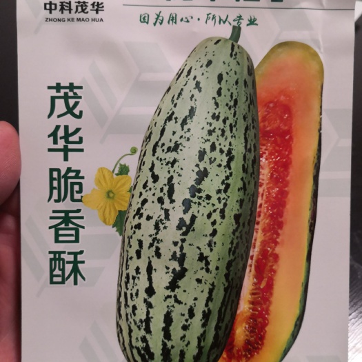 夏邑县茂华脆香酥甜瓜种子，果皮光滑，瓜型美观，口感香甜酥脆