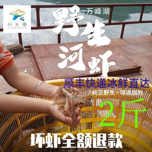 兴义市干河虾 万峰湖小河虾  冰鲜河虾  顺丰冷链配送