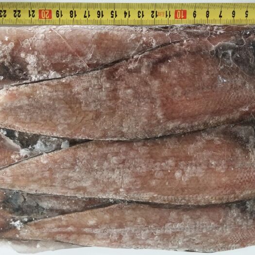 北海冻龙利鱼 深海天然龙利鱼