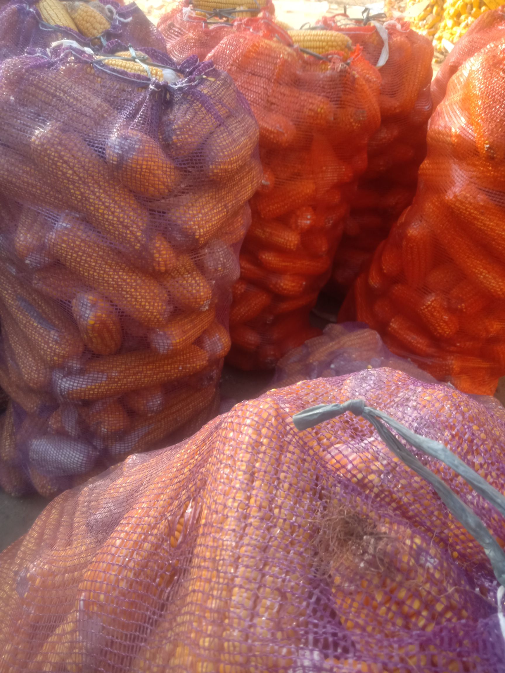 农产品批发供应商李托 - 惠农网电脑版