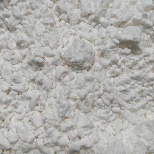 博罗县冬粉薯苗 冬粉薯粉