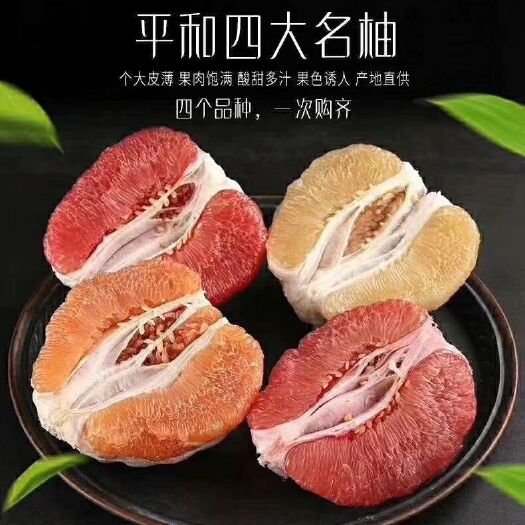 昌邑市平和蜜柚 2.5斤以上