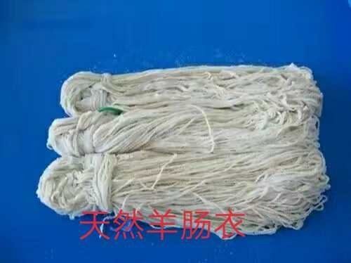 保定猪肠衣 天然猪羊肠衣