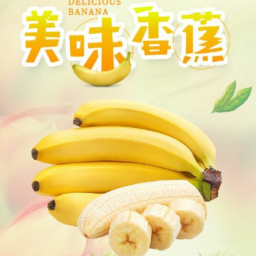 南宁 广西新鲜现砍香蕉长蕉5斤9斤一件代发小米蕉
