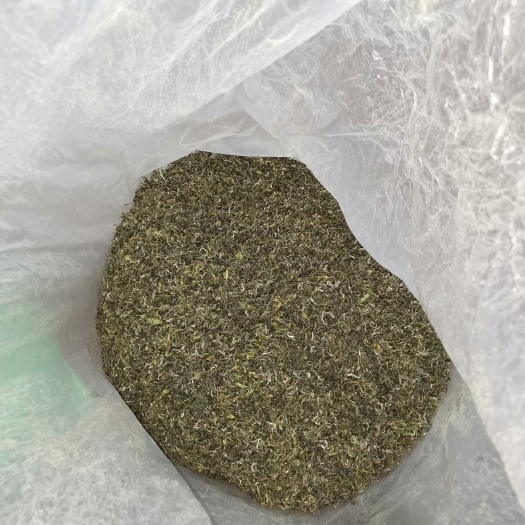 日照 日照绿茶(秋茶)白露前后