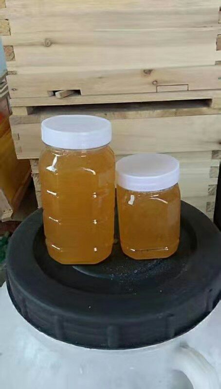 漳县 河湾百草土蜂蜜，物美廉价，先到先得