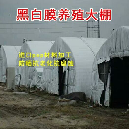 沭阳县地膜  大棚膜养殖大棚膜防晒加厚保温隔热反光膜食用菌膜遮
