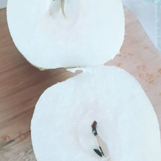 赵县 皇冠梨