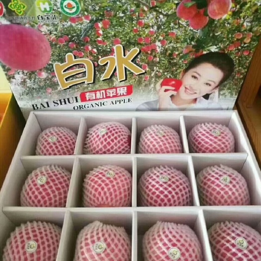 白水县嘎啦苹果 白水红富士脆甜
