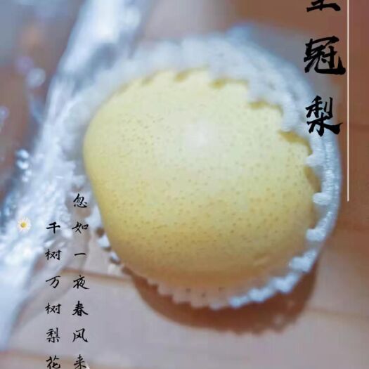 晋州市 河北优质皇冠梨售卖