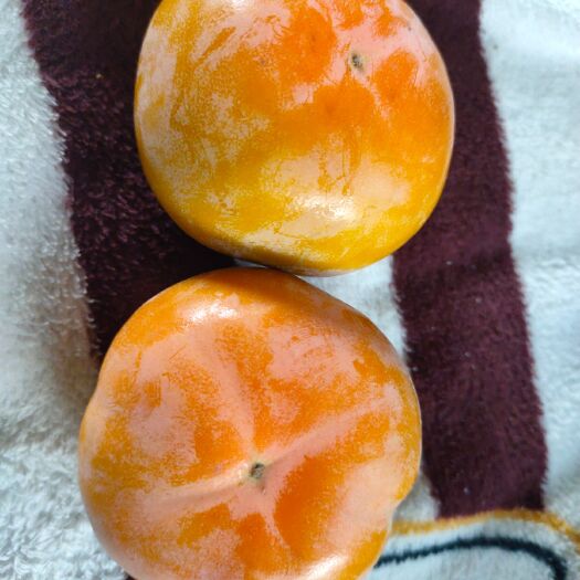 莒县临沂甜柿 无公害绿色食品