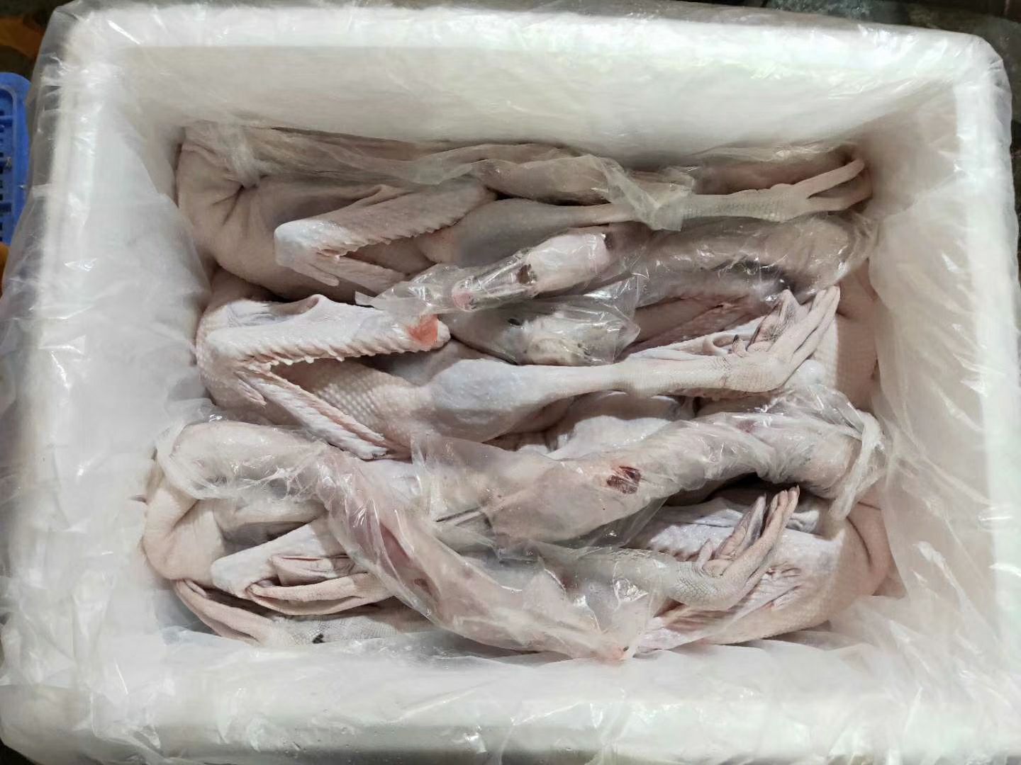 鹅肉类 广东清远黑棕鹅