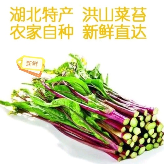 天门市 湖北红菜苔，产地直销，现摘现发