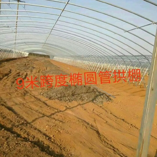 龙胜县种植大棚 大棚骨架