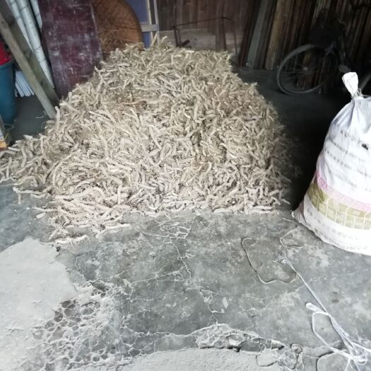 安化县湘玉竹 通货