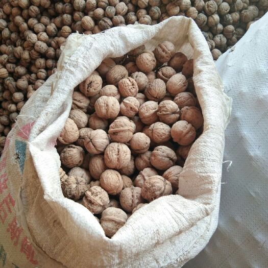 文水县 我家的核桃，货真价实，纯绿色食品，没有任何填加剂，味美口口，