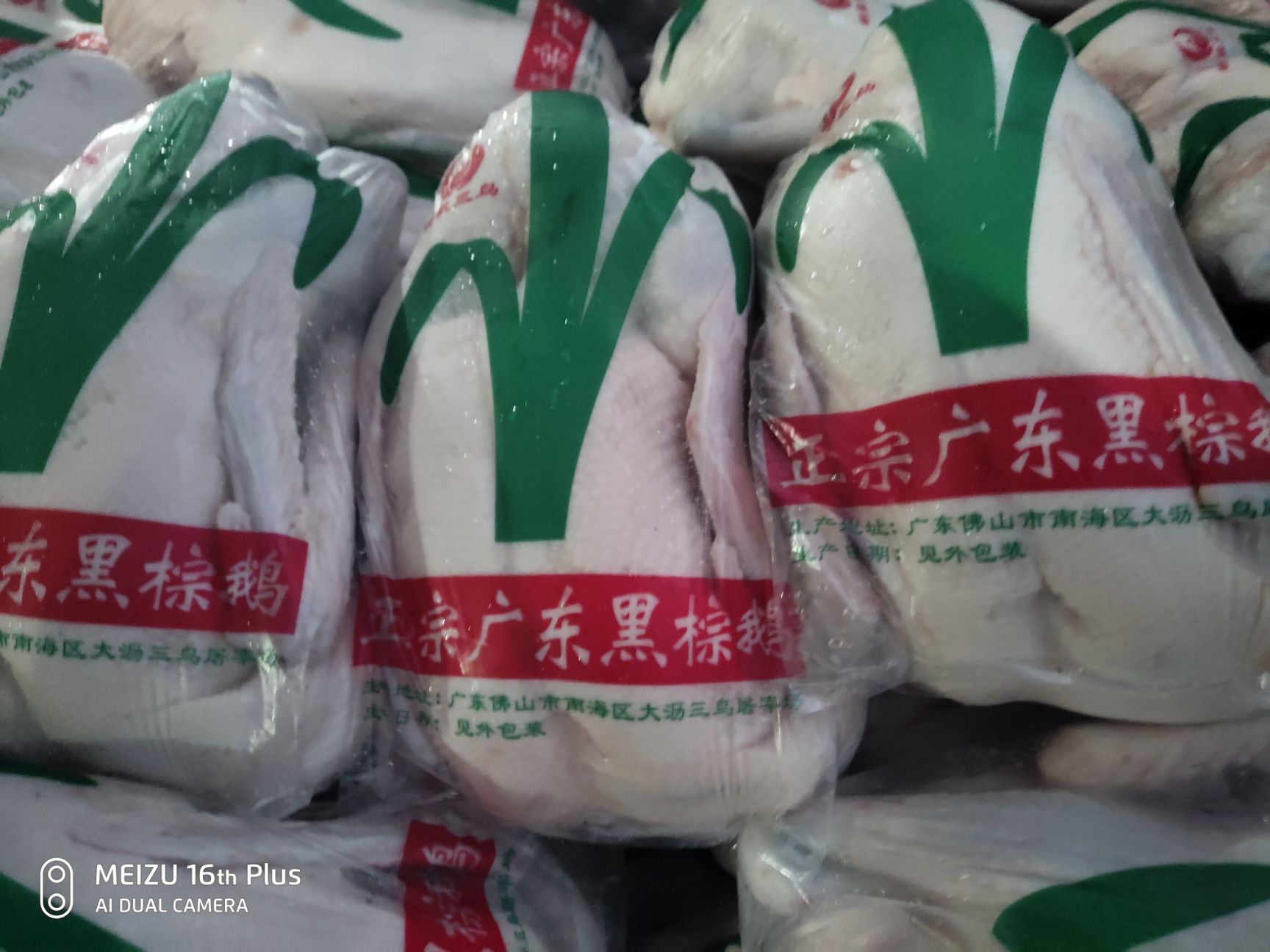 鹅肉类 广东清远黑棕鹅