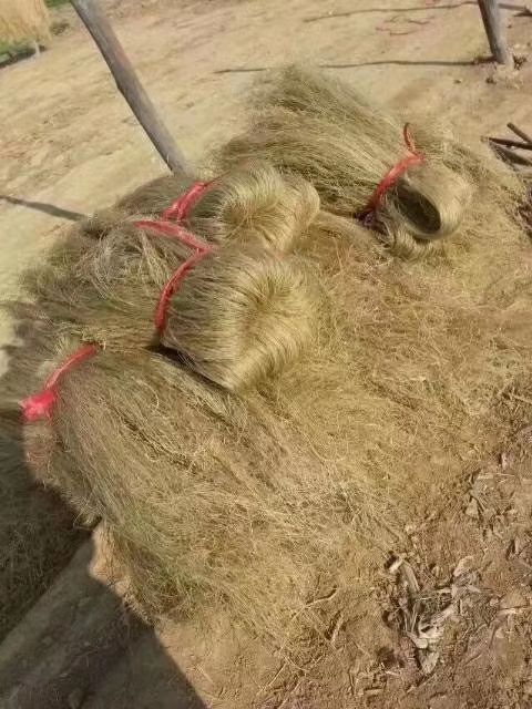 舞钢市红薯全粉 南阳纯红薯粉条
