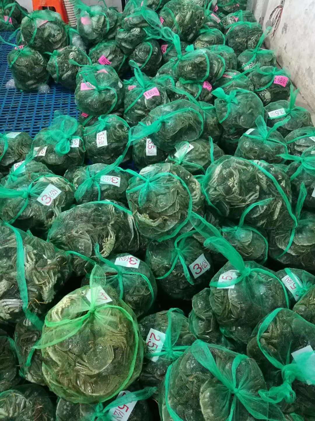  洪湖大闸蟹2.5两母蟹清水蟹批发红膏大闸蟹河蟹毛蟹鲜活