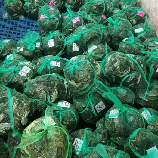 洪湖市 洪湖大闸蟹2.5两母蟹清水蟹批发红膏大闸蟹河蟹毛蟹鲜活