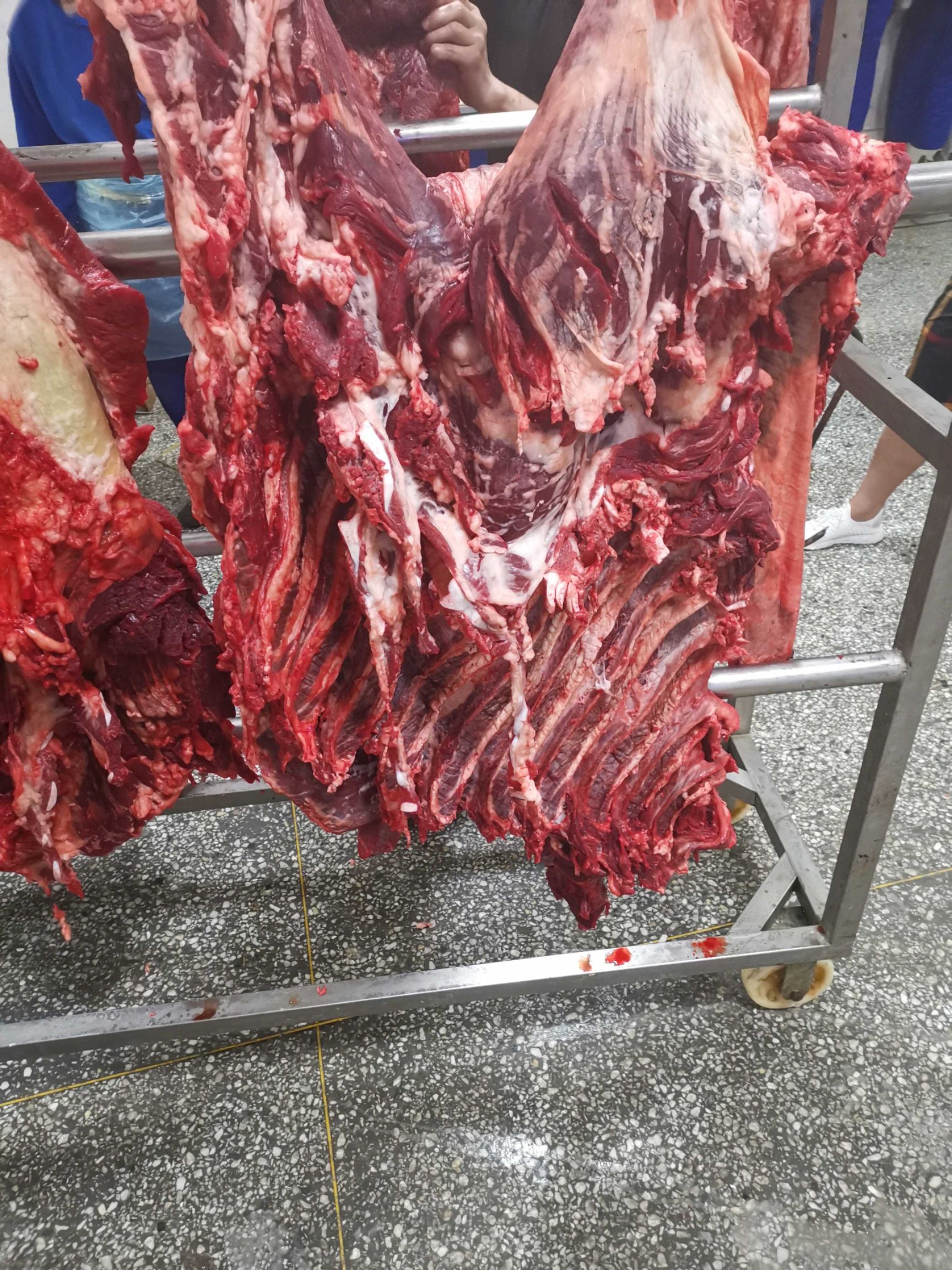 鲜牛肉